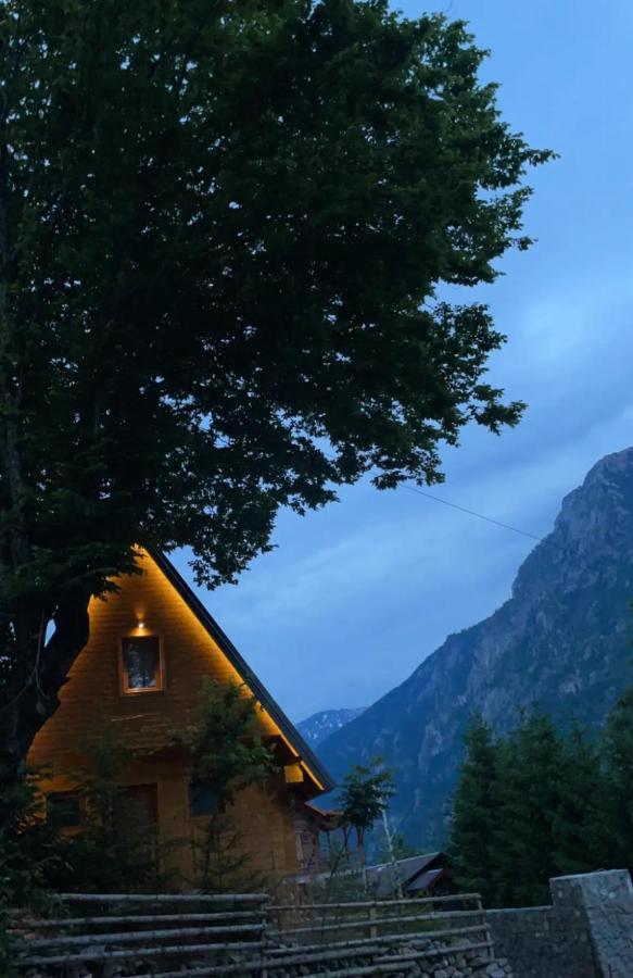 Villa Dardania Peja Exteriör bild