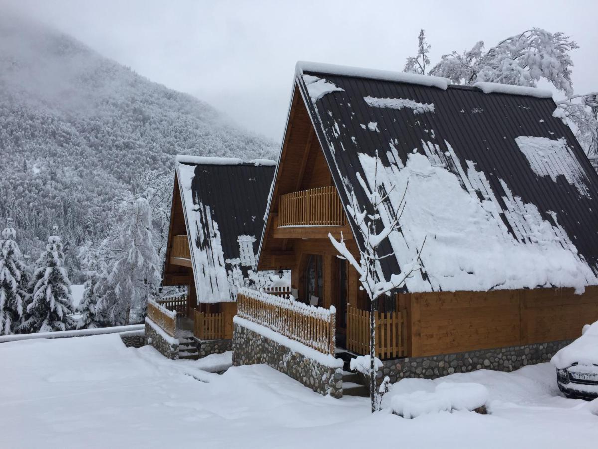 Villa Dardania Peja Exteriör bild