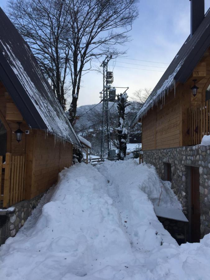 Villa Dardania Peja Exteriör bild