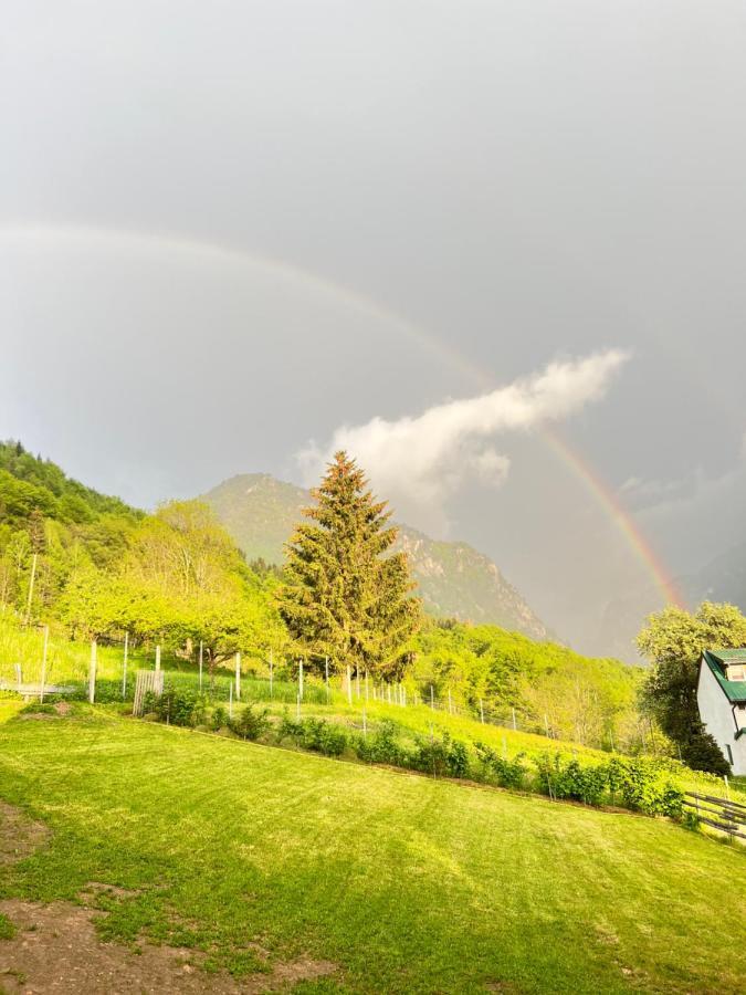 Villa Dardania Peja Exteriör bild