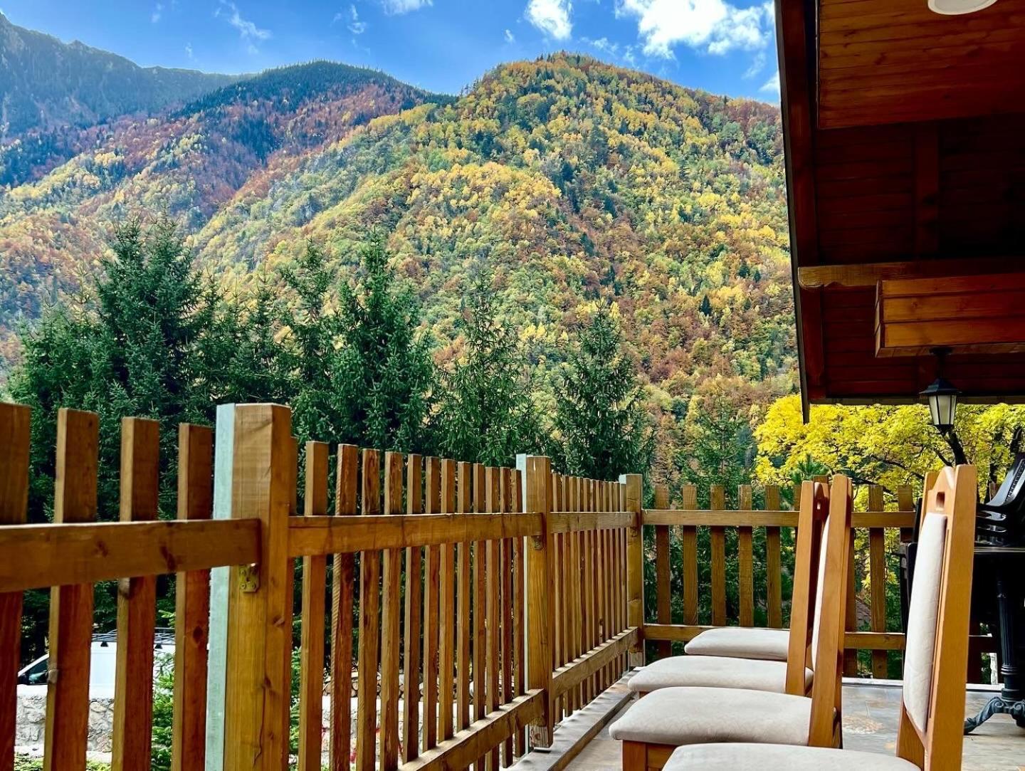 Villa Dardania Peja Exteriör bild
