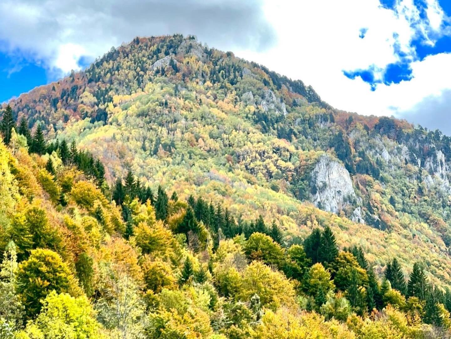 Villa Dardania Peja Exteriör bild